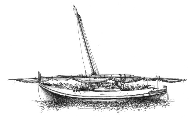 E - Sardelliera di Cotliure 'La Perouse'